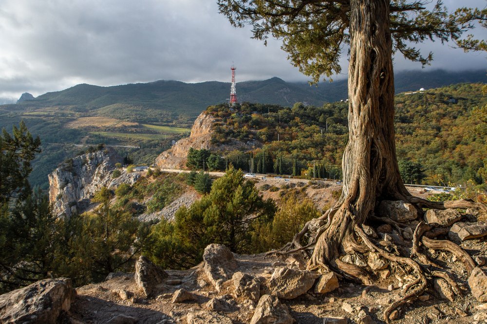 Photograph by Артем