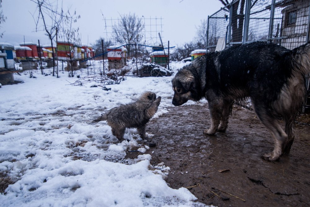 Photograph by Димитар Бирачоски