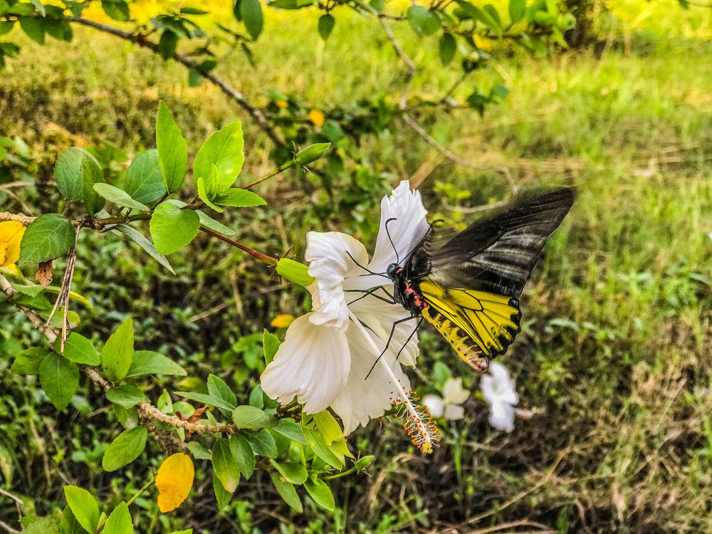 Photograph by Joel Kewan