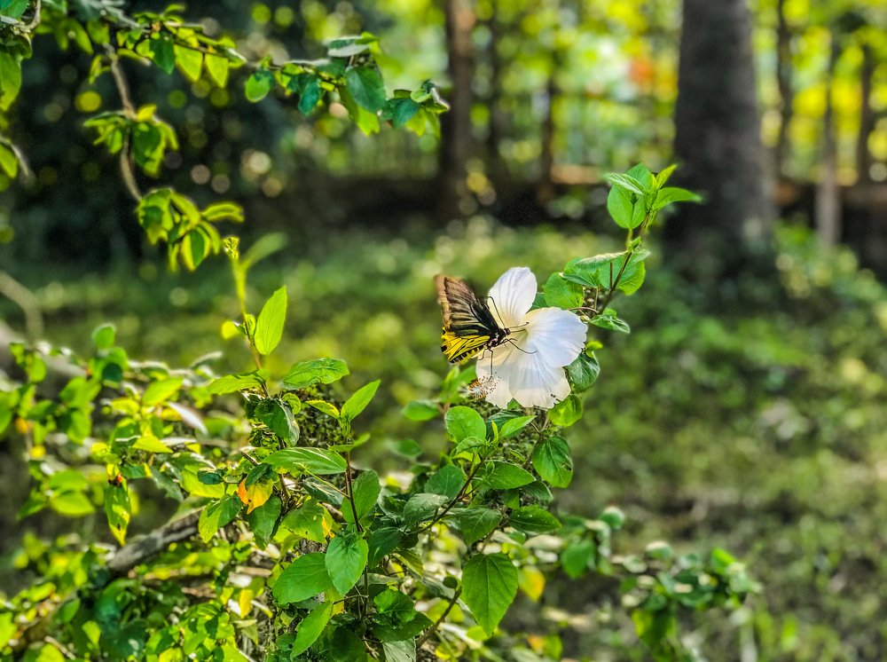 Photograph by Joel Kewan