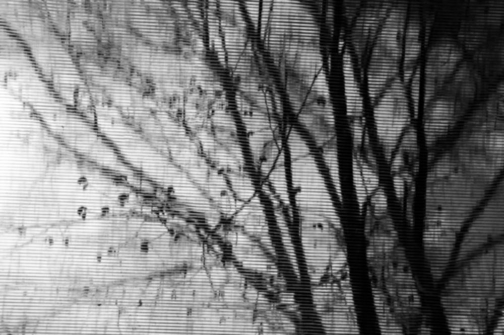 Фотография автора Глеб Рубашкин