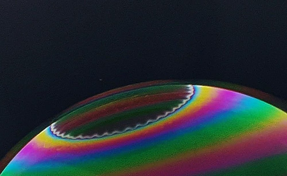 Photograph by Gunasekera Janath