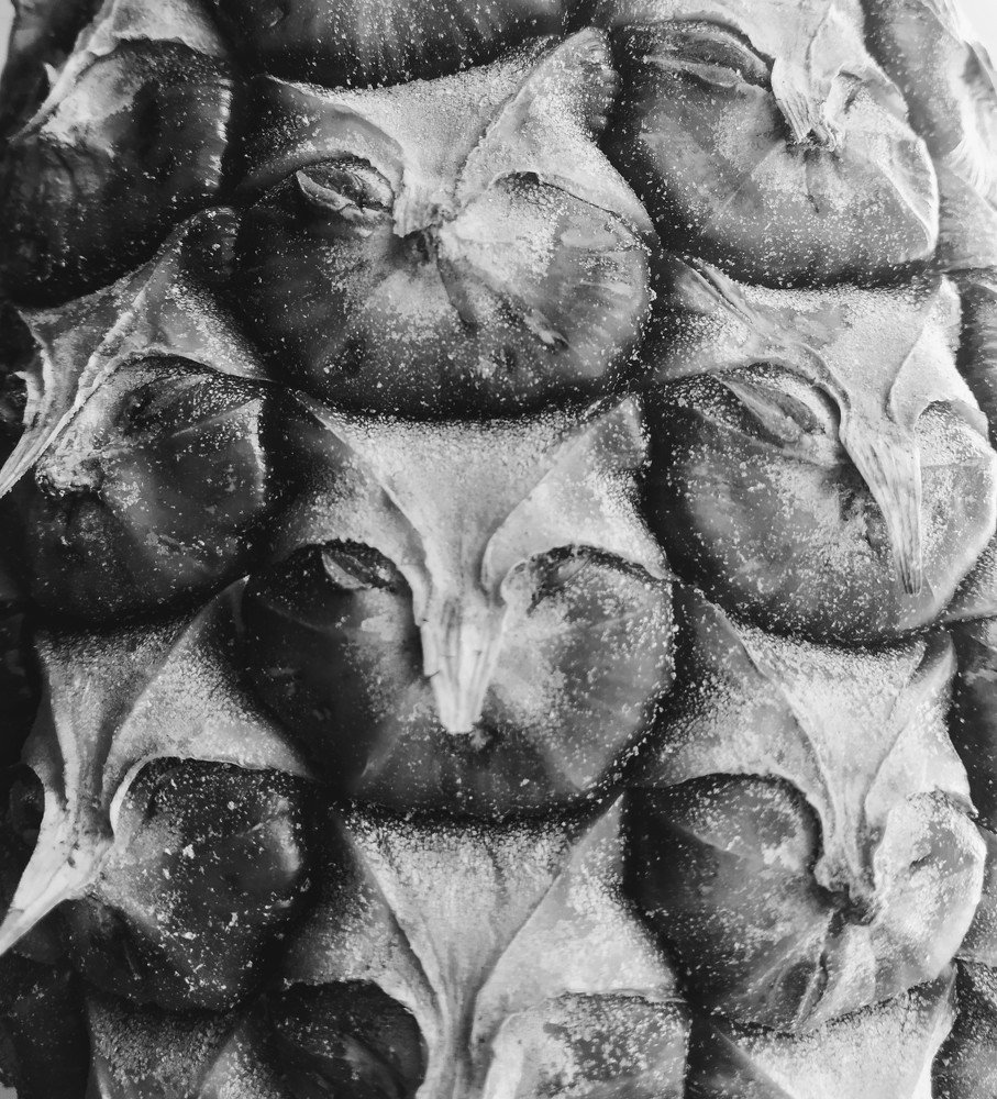 Photograph by Gunasekera Janath