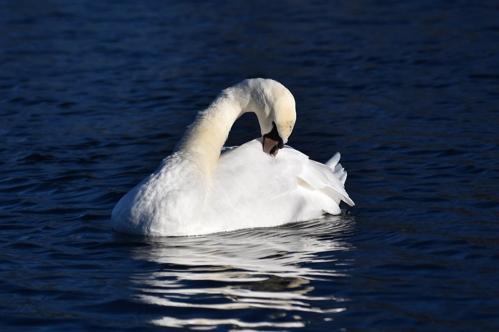 Photograph by Валерий Талейко