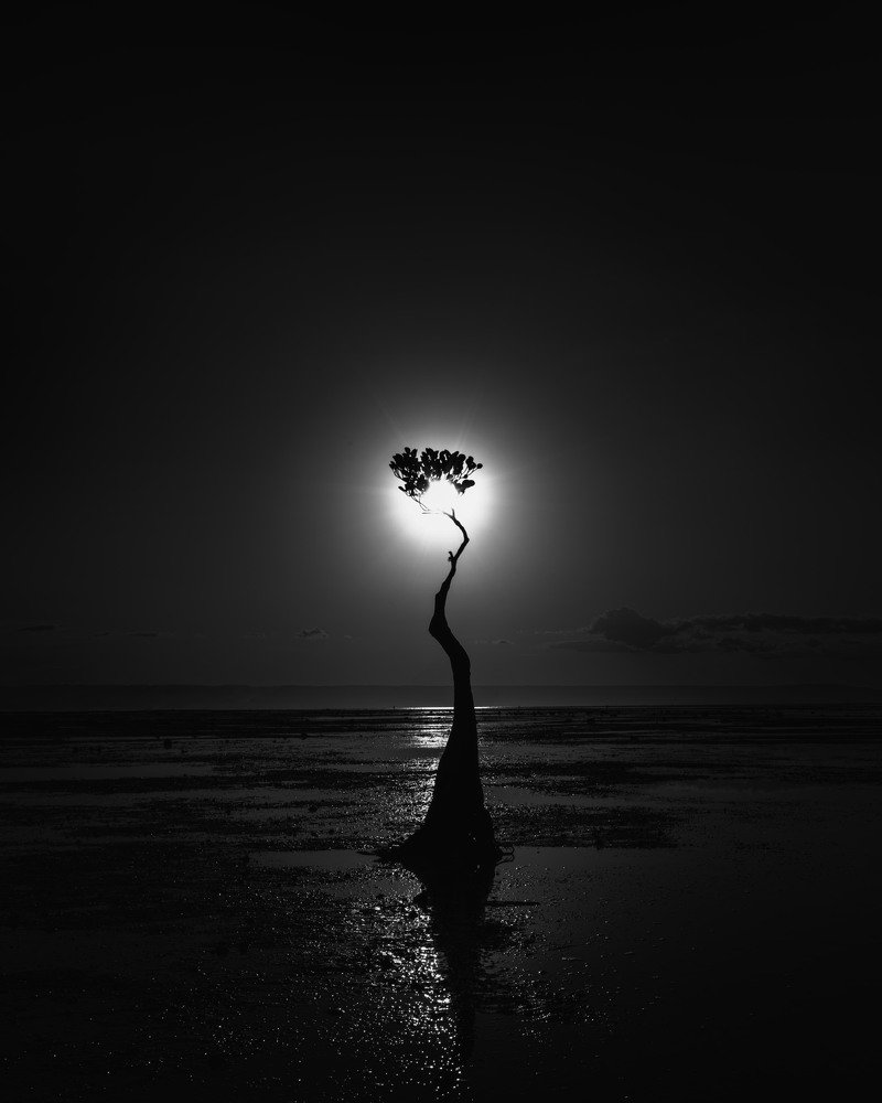 Photograph by Yusie Meiti