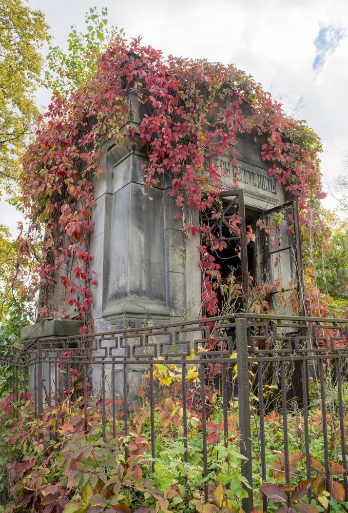 Photograph by Михаил Ханукович