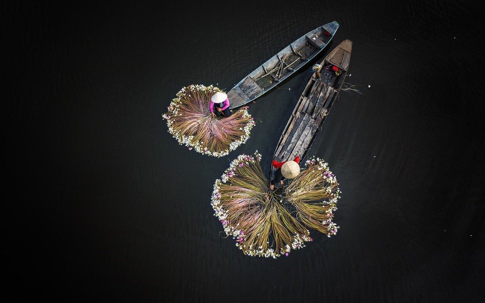 Фотография автора Sơn nguyễn ngọc