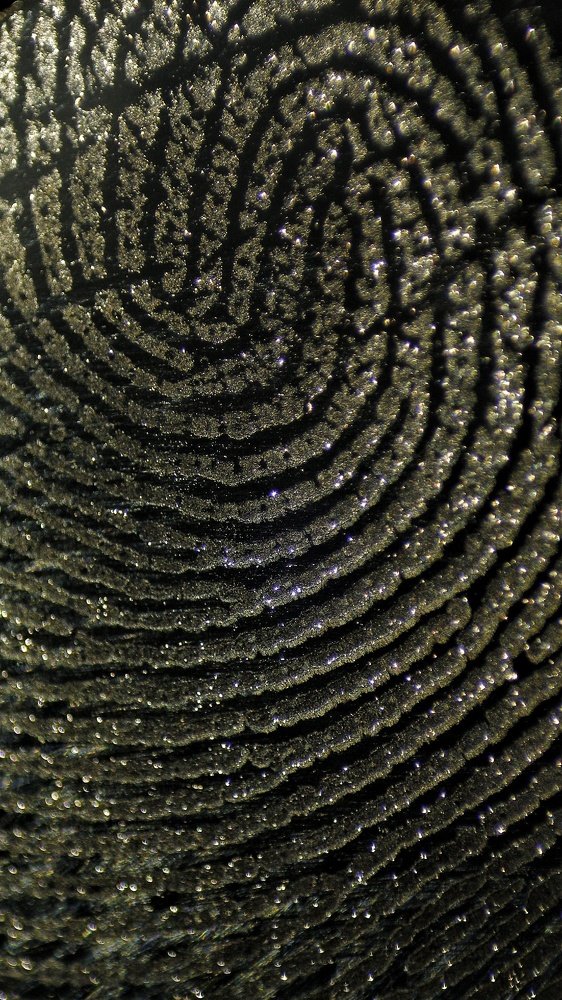 Photograph by Sajjad Mahdavi