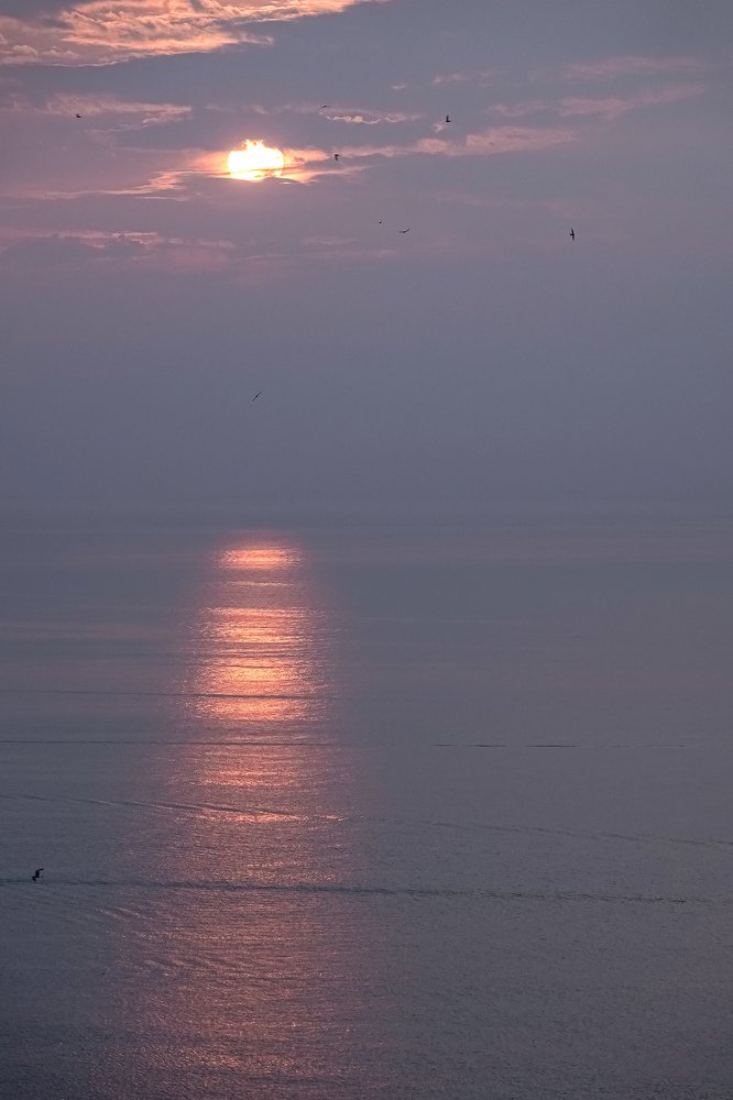 Photograph by Марина Суслова