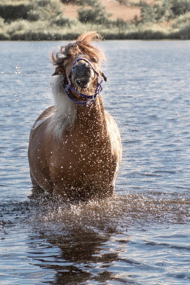 Фотография автора Татьяна Чапко