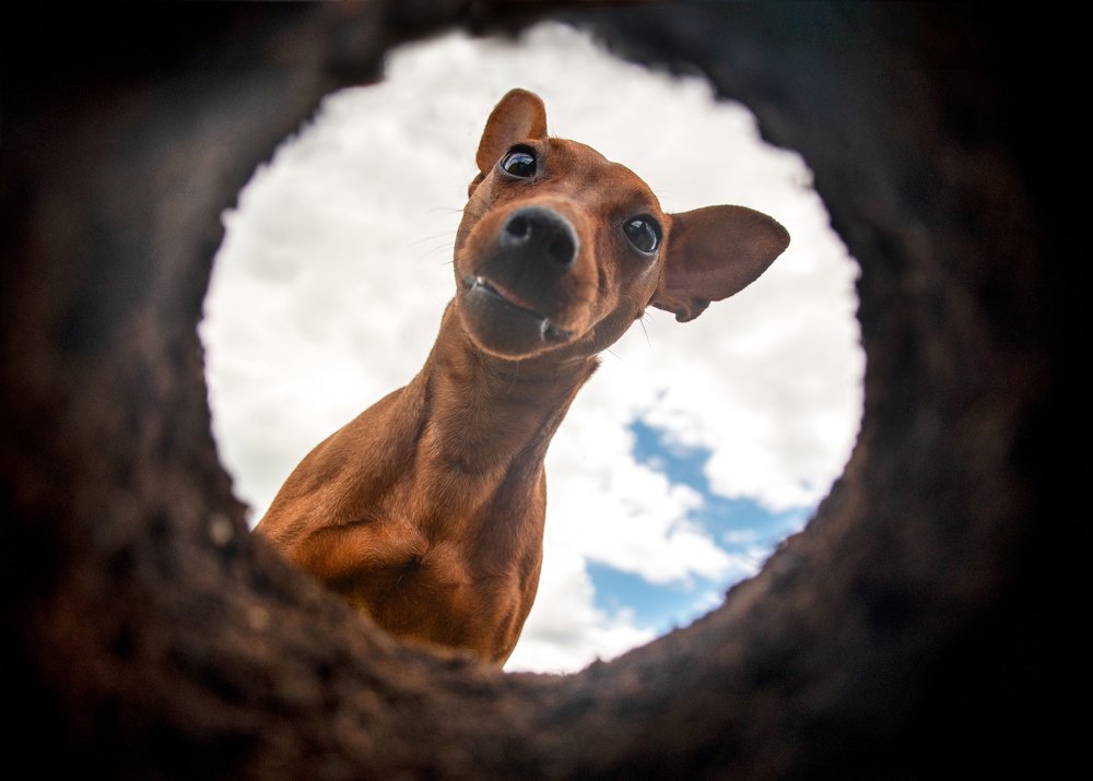 Фотография автора Татьяна Чапко