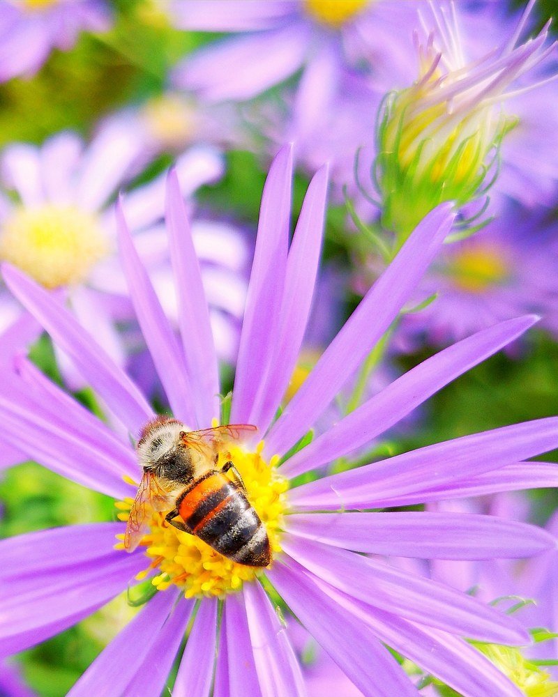 Photograph by Марина Суслова