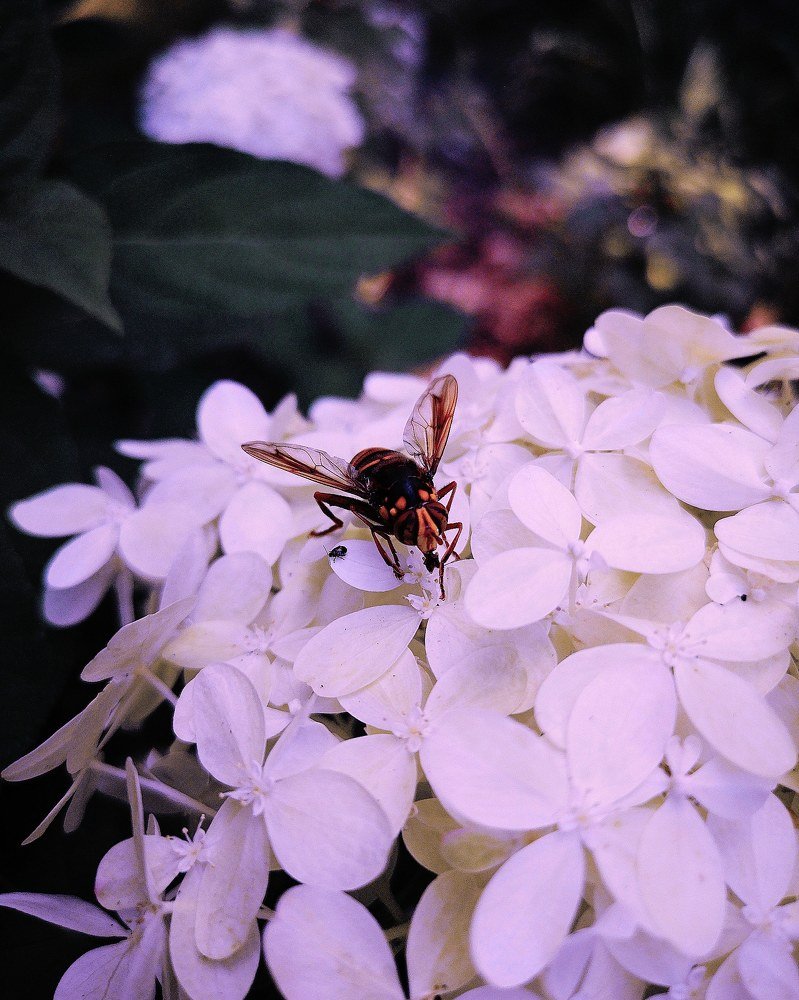 Photograph by Марина Суслова