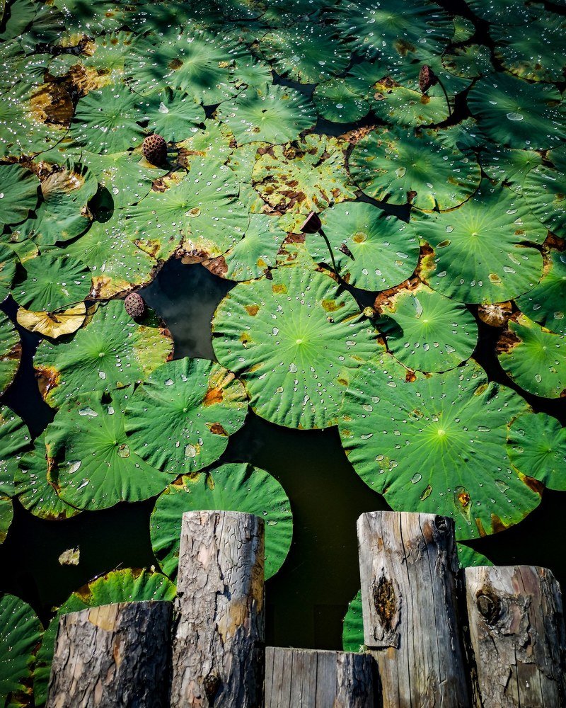 Photograph by Марина Суслова