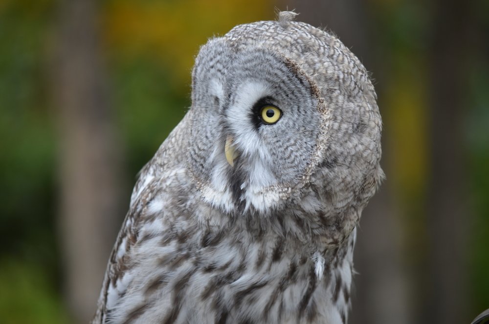 От меня не спрячешься!