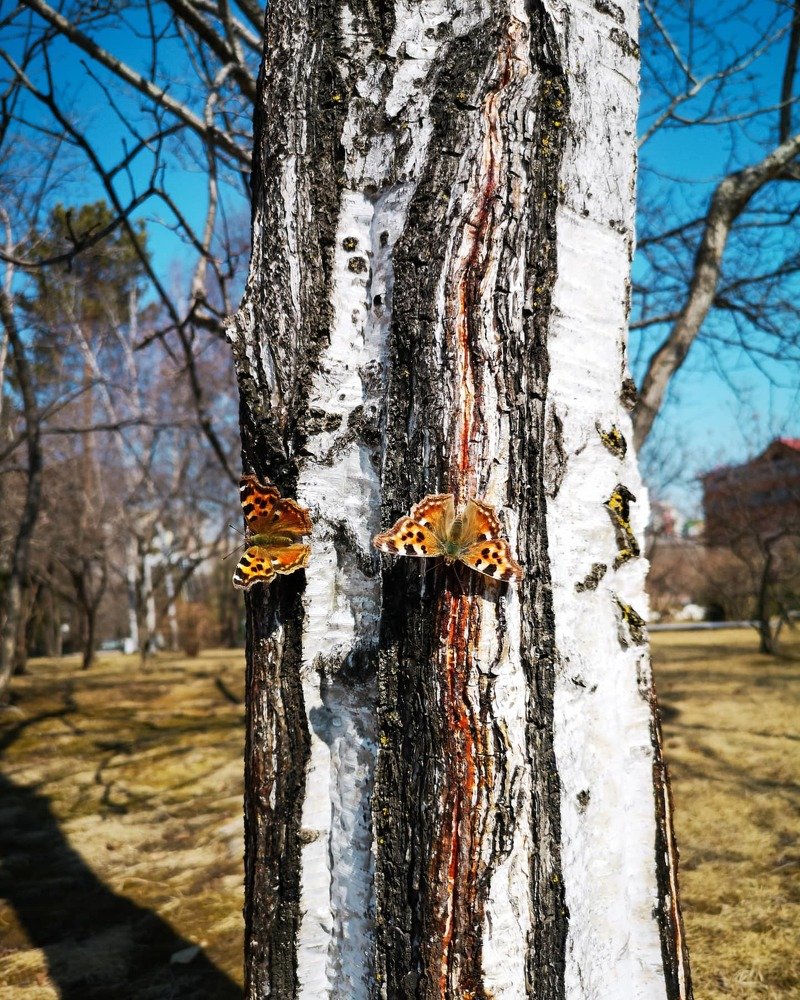 Photograph by Марина Суслова