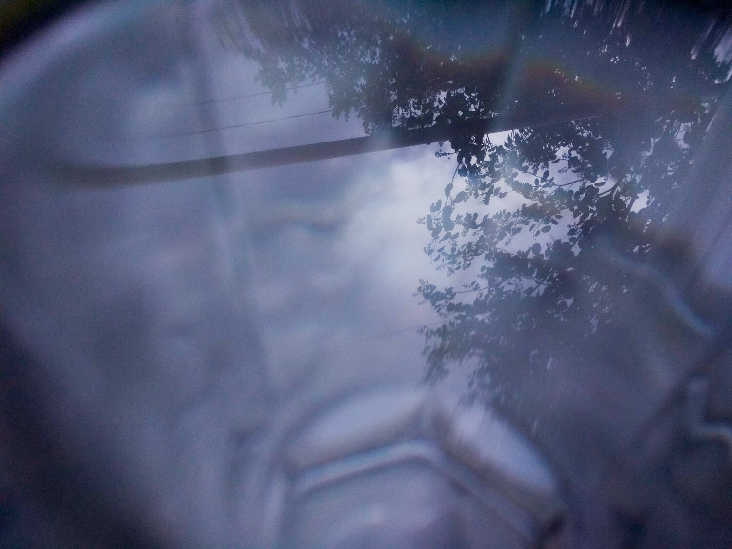 Photo #5202273