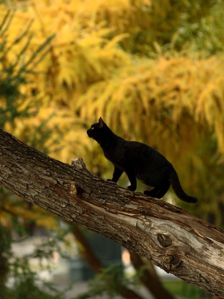 Photograph by Михаил Мостовой