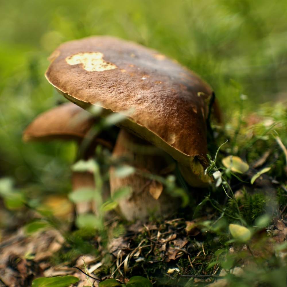 Photograph by Наталья Букарева