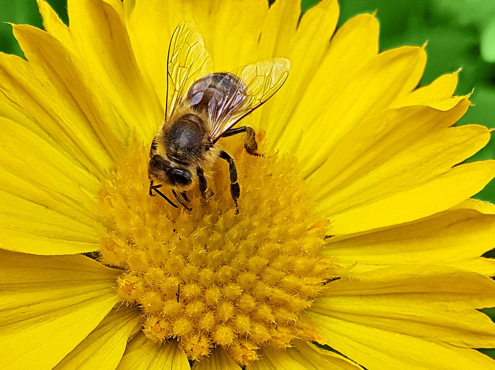 Photograph by Kiril Mucevski