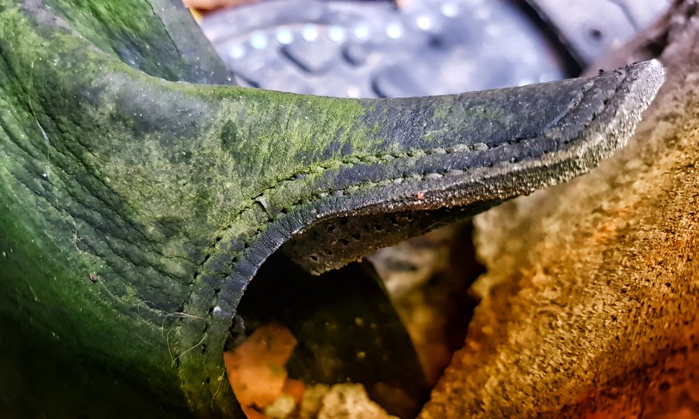 Photograph by Анна Кривицкая