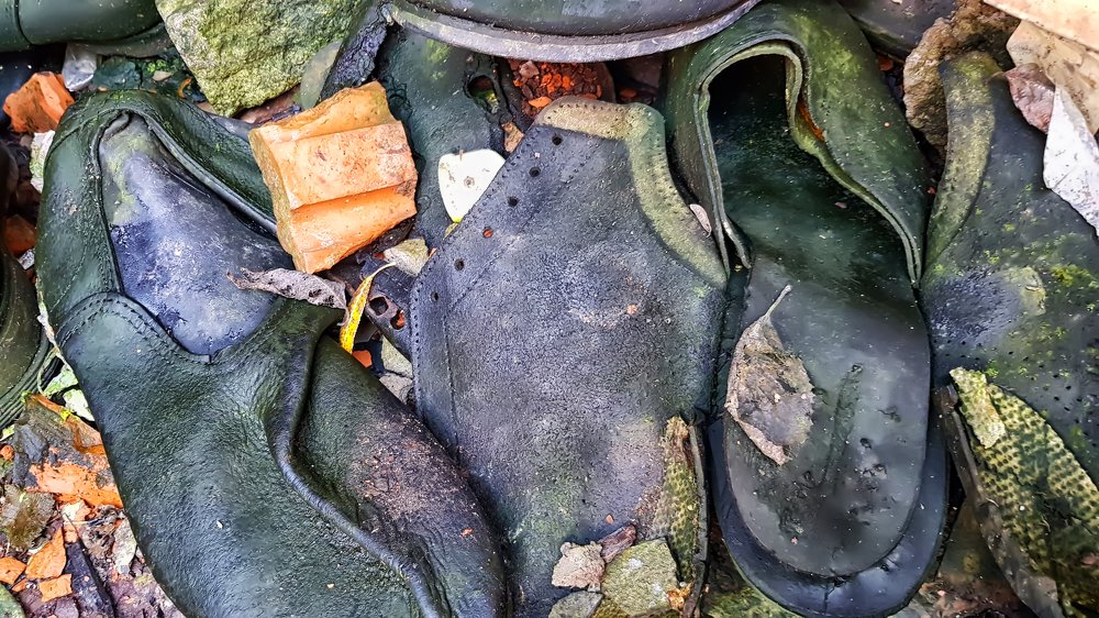 Photograph by Анна Кривицкая