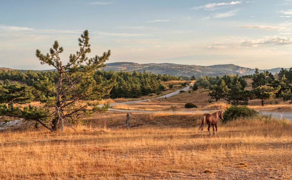 Photograph by Игорь Сарапулов