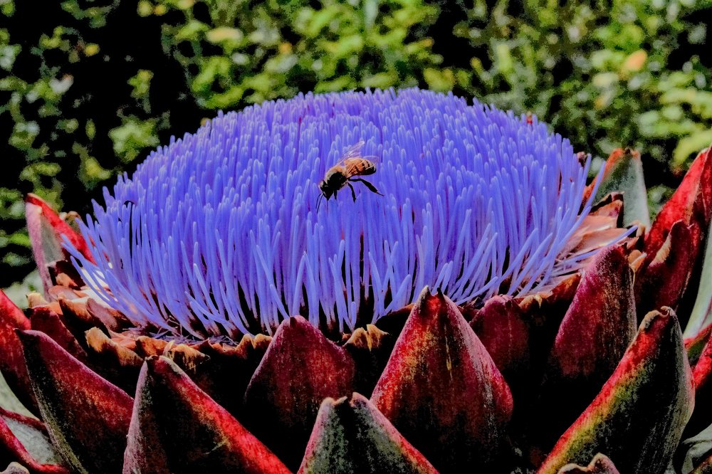 Photograph by JORGE DORANTES