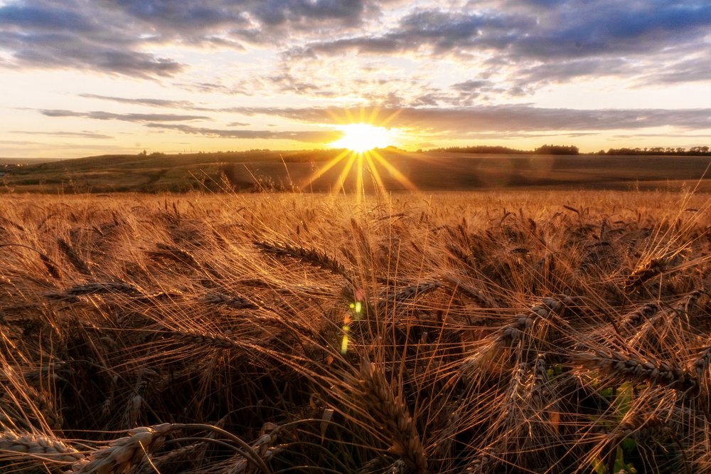 Осенний закат