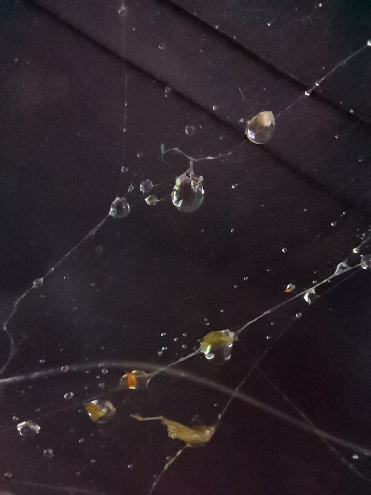 Photograph by Марина Корабельникова