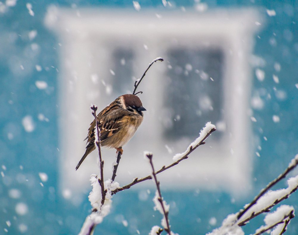 Photograph by Margarita