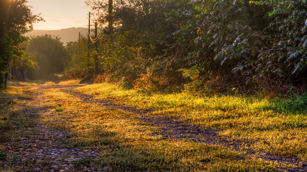 Photograph by Милен Младенов