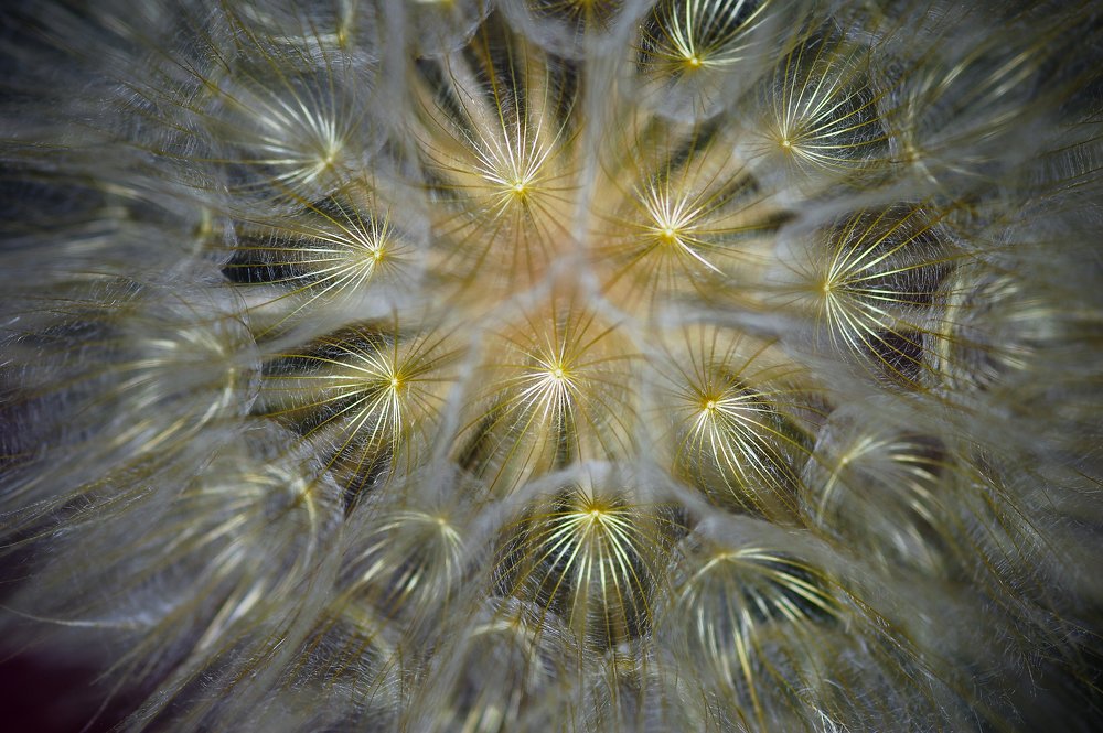 Photograph by Igor Ryzhov