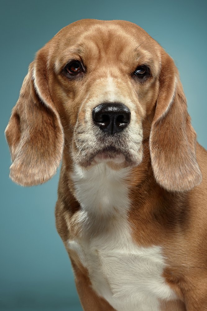 Фотография автора Katerina Mumzhinskaya