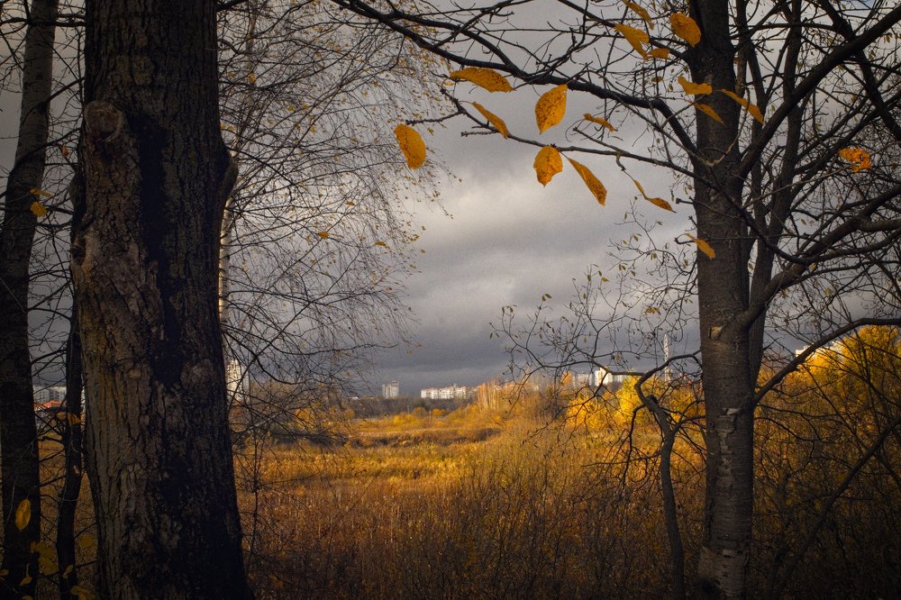 Фотография автора Алексей Гнедчик