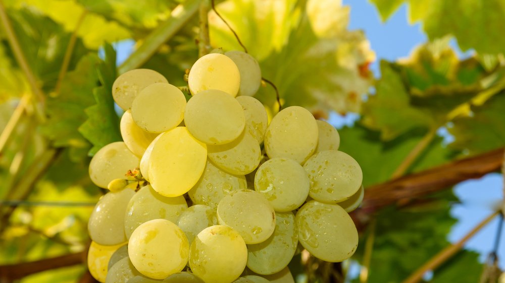 Photograph by Милен Младенов