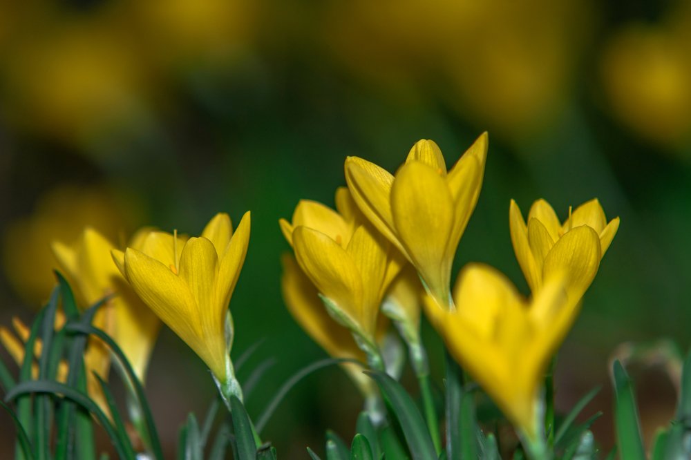 Photograph by Милен Младенов