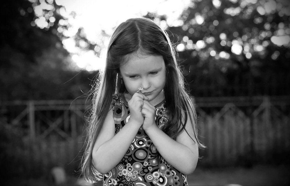 Фотография автора Razgulyaev Aleksandr