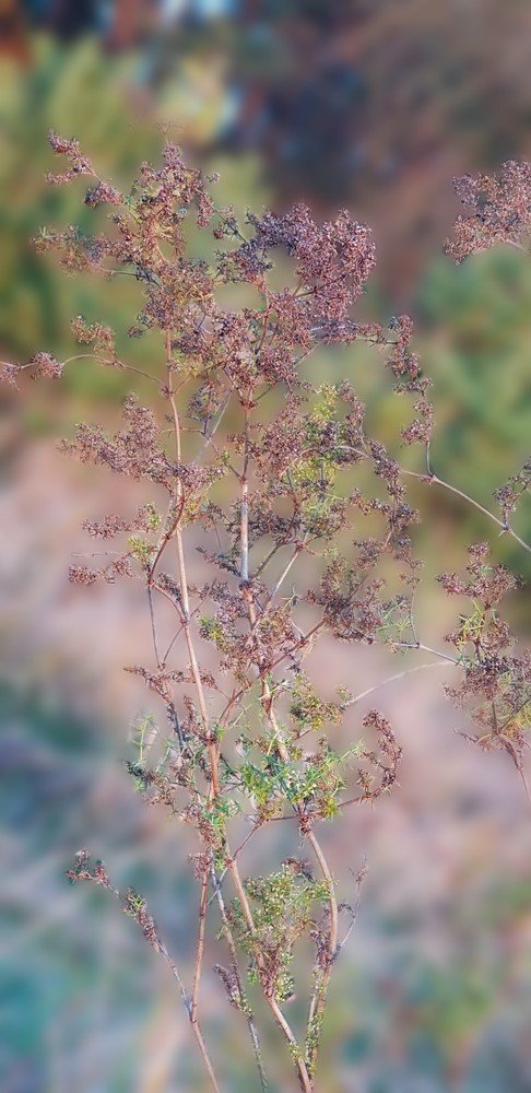 Photograph by Светлана Эленевич