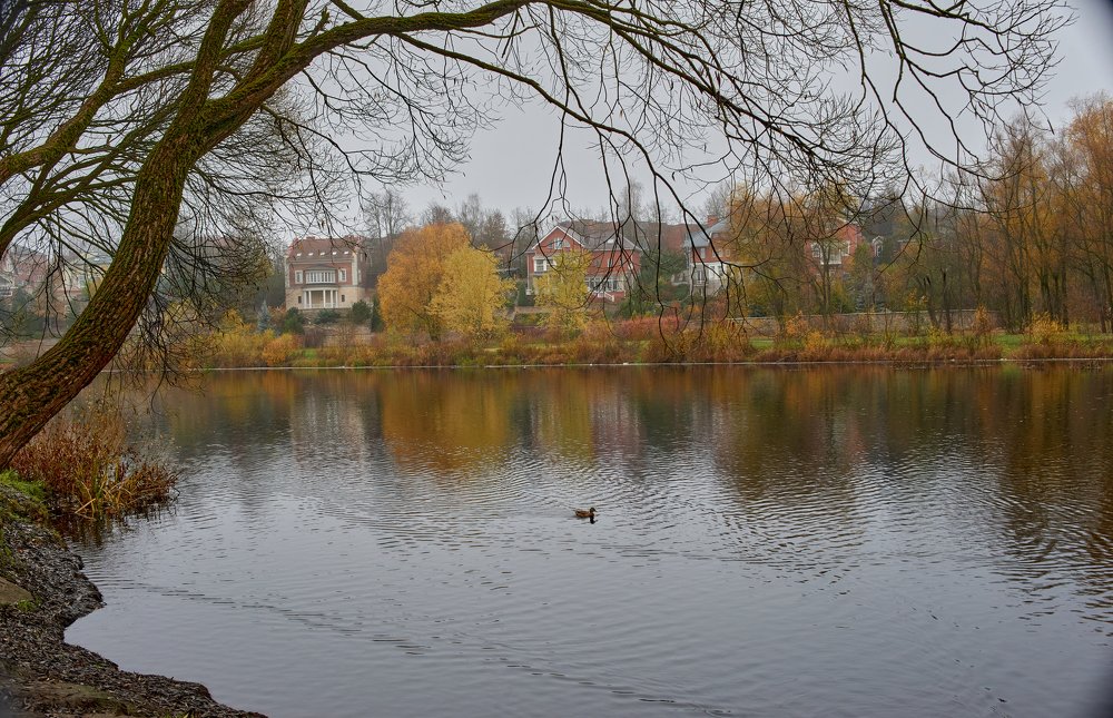 Photograph by Светлана Михайлова