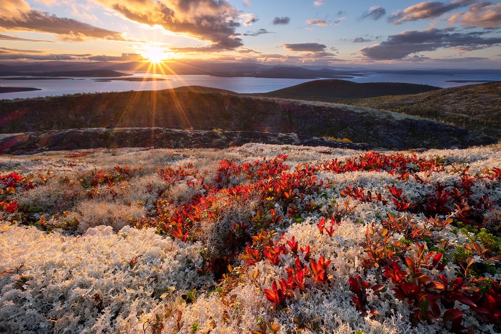 Час белого хлада