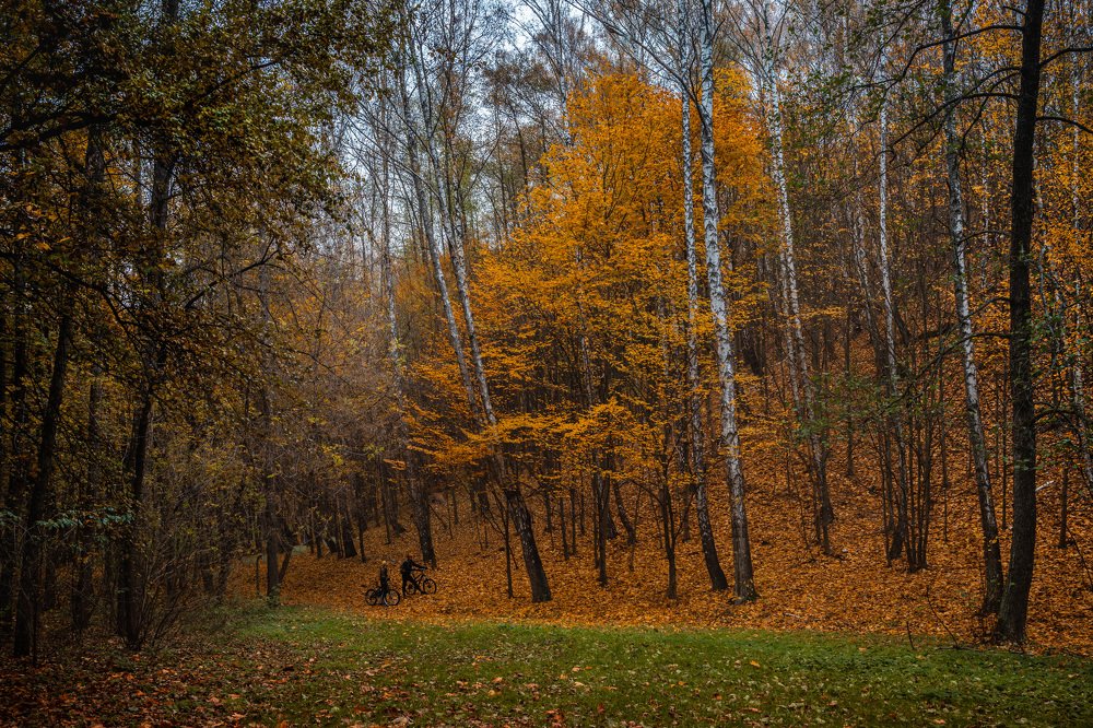 Городское путешествие.