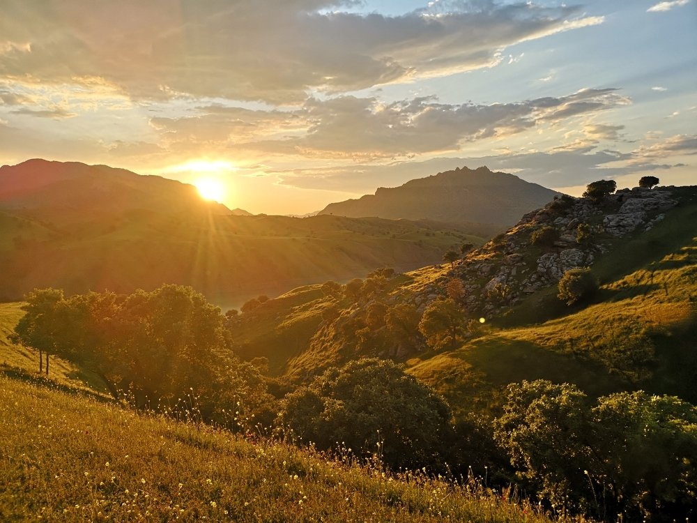 Photograph by Usama Akram