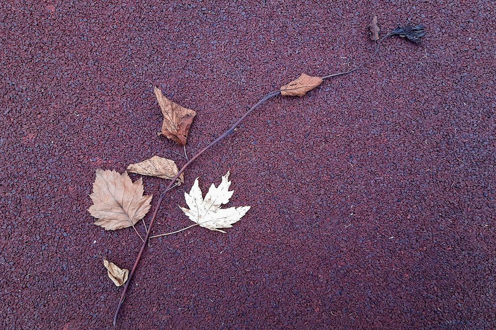 Photograph by Эдуард Шадров