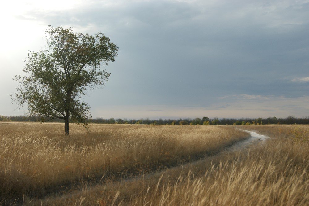 Photograph by Андрей Хитрун