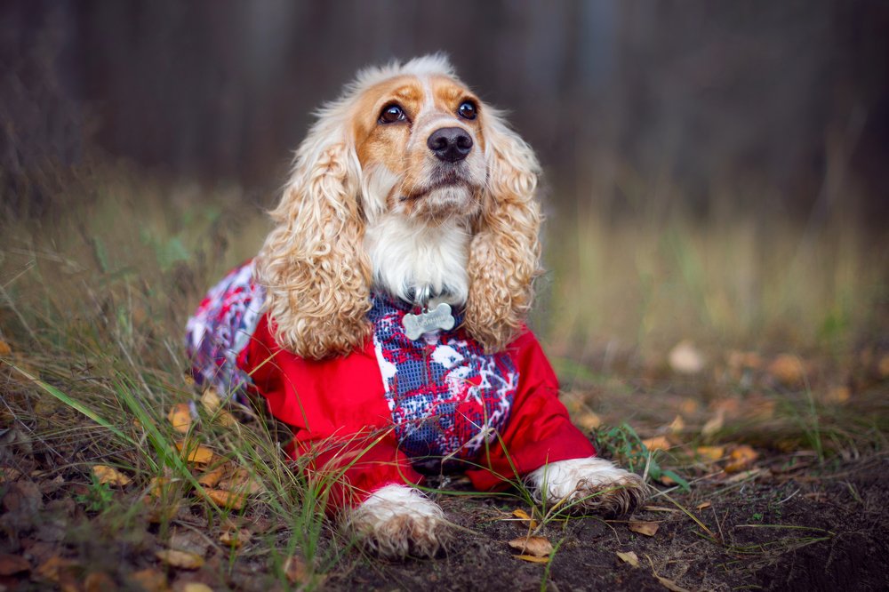 Photograph by Любовь Конева