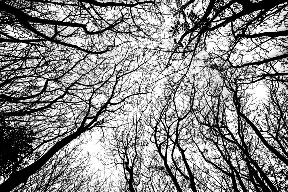 Photograph by Budi Budi utama