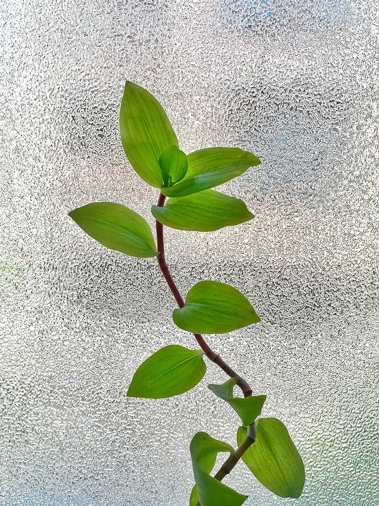 Photograph by Sahar Jafari