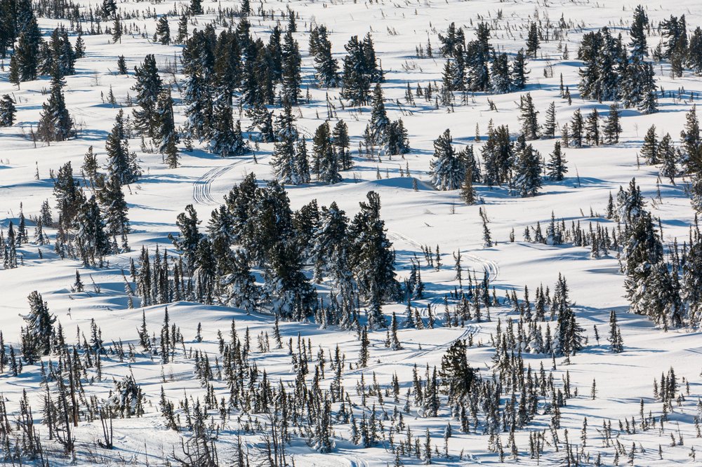 Photograph by Алексей Яковлев