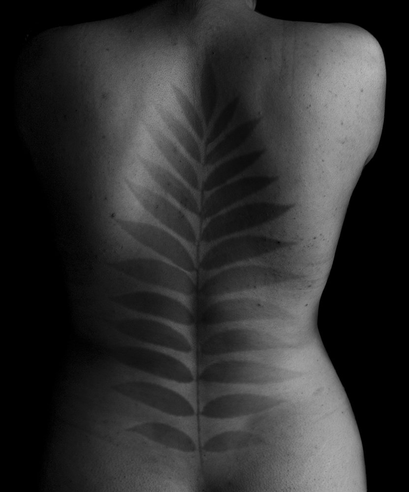 Connection with nature